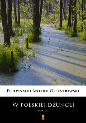 W polskiej dżungli. Powieść Ferdynand Antoni Ossendowski - okladka książki