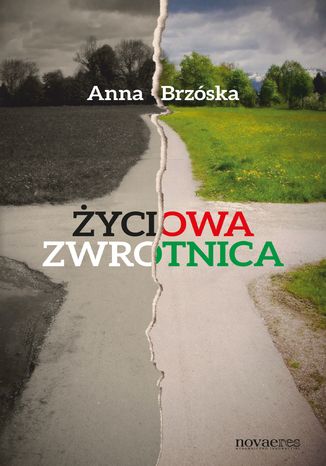 Życiowa zwrotnica Anna Brzóska - okladka książki