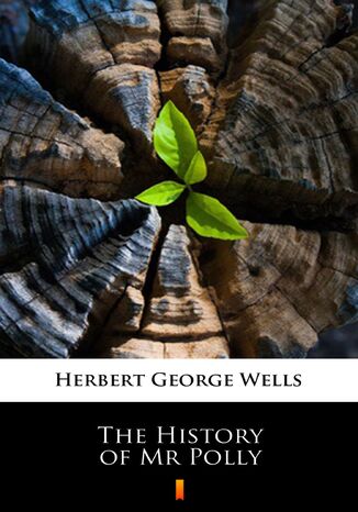 The History of Mr Polly Herbert George Wells - okladka książki
