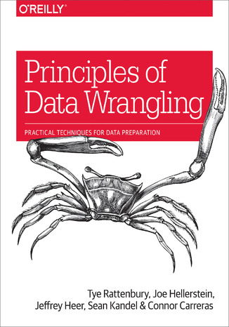 Principles of Data Wrangling. Practical Techniques for Data Preparation Tye Rattenbury, Joseph M. Hellerstein, Jeffrey Heer - okladka książki