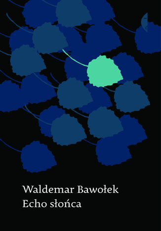 Echo słońca Waldemar Bawołek - okladka książki