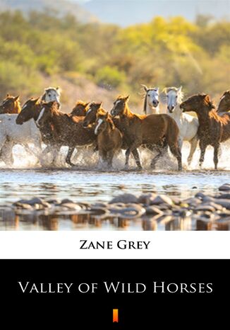 Valley of Wild Horses Zane Grey - okladka książki