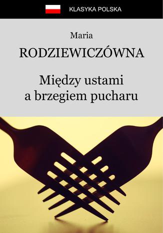 Między ustami a brzegiem pucharu Maria Rodziewiczówna - okladka książki