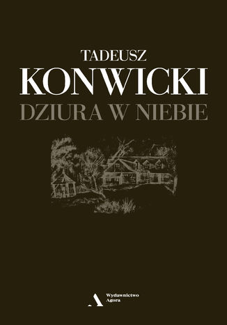 Dziura w niebie Tadeusz Konwicki - okladka książki
