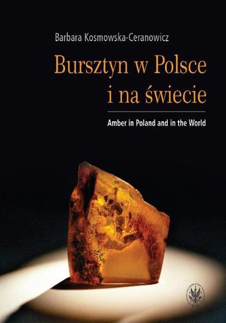 Bursztyn w Polsce i na świecie Barbara Kosmowska-Ceranowicz - okladka książki