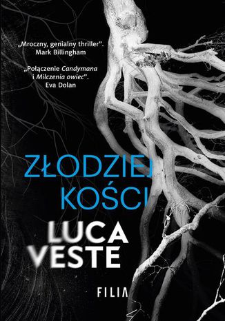 Złodziej kości Luca Veste - okladka książki