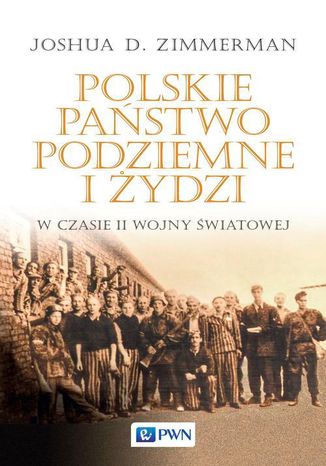 Polskie Państwo Podziemne i Żydzi w czasie II wojny światowej Joshua D. Zimmerman - okladka książki