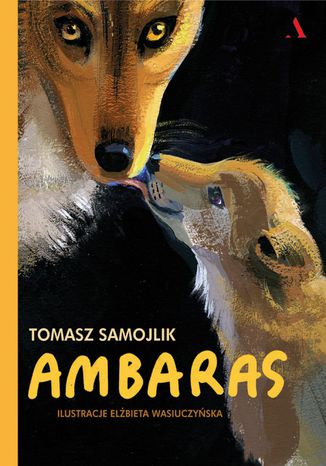Ambaras Tomasz Samojlik - okladka książki