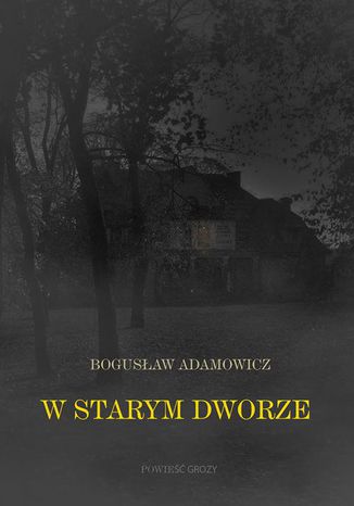 W starym dworze. Powieść fantastyczna Bogusław Adamowicz - okladka książki