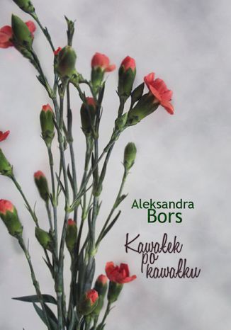 Kawałek po kawałku Aleksandra Bors - okladka książki