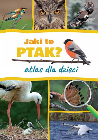 Jaki to ptak? Atlas dla dzieci Dominik Marchowski - okladka książki