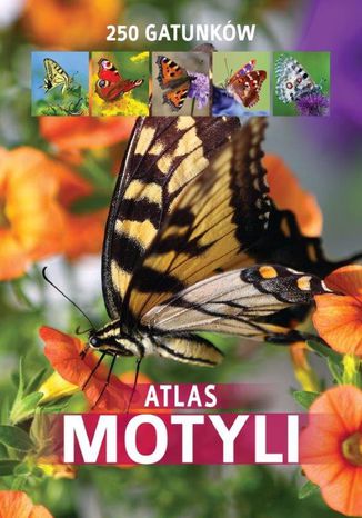 Atlas motyli. 250 gatunków K. i J. Twardowscy - okladka książki