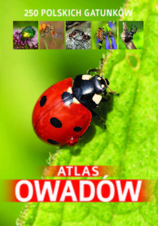 Atlas owadów J. Twardowski, K. Twardowska - okladka książki