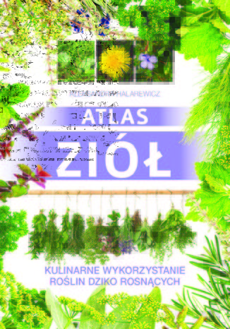 Atlas ziół. Kulinarne wykorzystanie roślin dziko rosnących Aleksandra Halarewicz - okladka książki