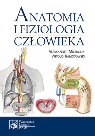 Anatomia i fizjologia człowieka Aleksander Michajlik, Witold Ramotowski - okladka książki