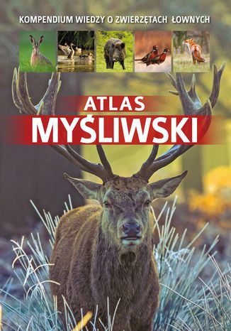 Atlas myśliwski Piotr Gawin, Dorota Durbas-Nowak - okladka książki