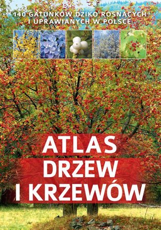 Atlas drzew i krzewów Aleksandra Halarewicz - okladka książki