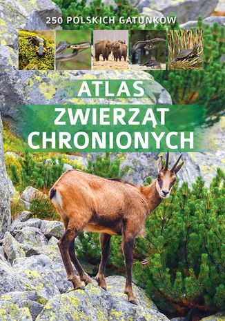 Atlas zwierząt chronionych Jacek Twardowski - okladka książki