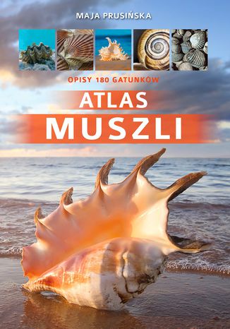 Atlas muszli Maja Prusińska - okladka książki