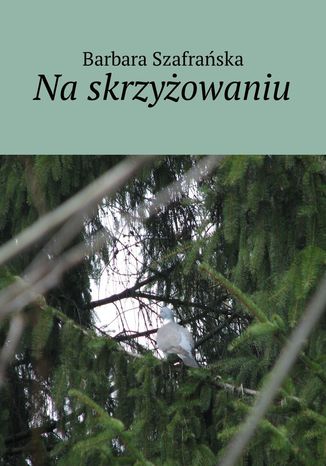 Na skrzyżowaniu Barbara Szafrańska - okladka książki