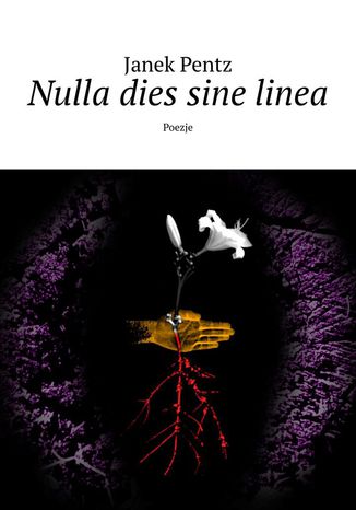 Nulla dies sine linea Janek Pentz - okladka książki