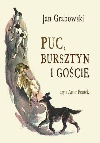 Puc, Bursztyn i goście Jan Grabowski - okladka książki