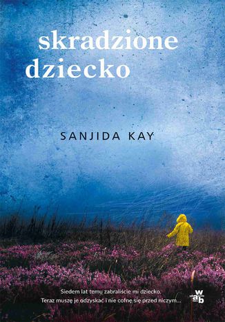 Skradzione dziecko Kay Sanjida - okladka książki