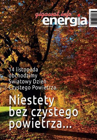 Energia Gigawat nr 11/2018 Sylwester Wolak - okladka książki