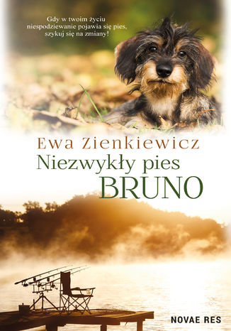 Niezwykły pies Bruno Ewa Zienkiewicz - okladka książki