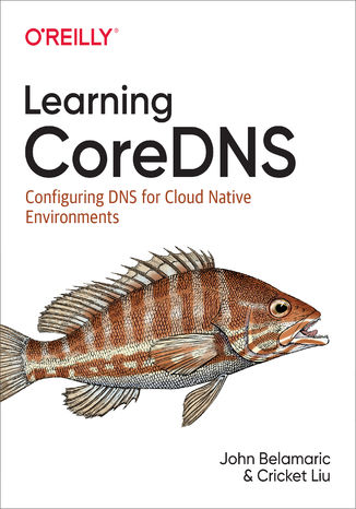 Learning CoreDNS. Configuring DNS for Cloud Native Environments John Belamaric, Cricket Liu - okladka książki