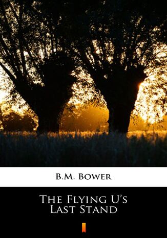 The Flying Us Last Stand B.M. Bower - okladka książki