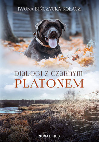 Dialogi z czarnym Platonem Iwona Bińczycka-Kołacz - okladka książki