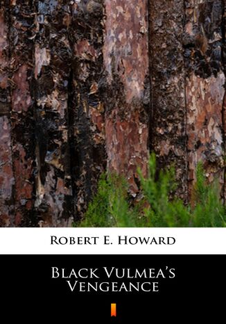 Black Vulmeas Vengeance Robert E. Howard - okladka książki