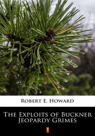 The Exploits of Buckner Jeopardy Grimes Robert E. Howard - okladka książki