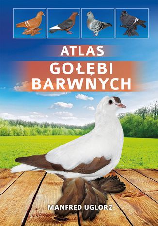 Atlas gołębi barwnych Manfred Uglorz - okladka książki