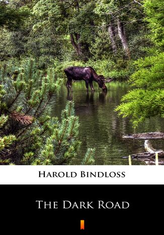 The Dark Road Harold Bindloss - okladka książki