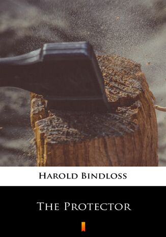 The Protector Harold Bindloss - okladka książki