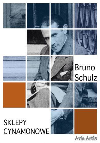 Sklepy cynamonowe Bruno Schulz - okladka książki