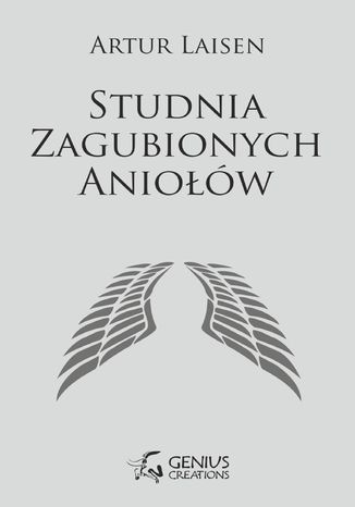 Studnia Zagubionych Aniołów Artur Laisen - okladka książki