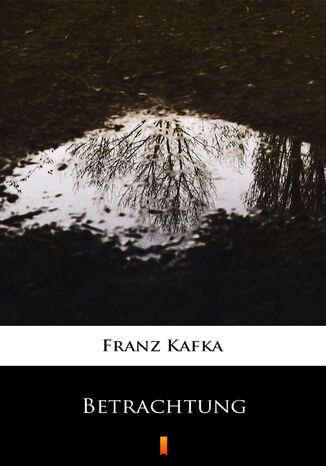 Betrachtung Franz Kafka - okladka książki