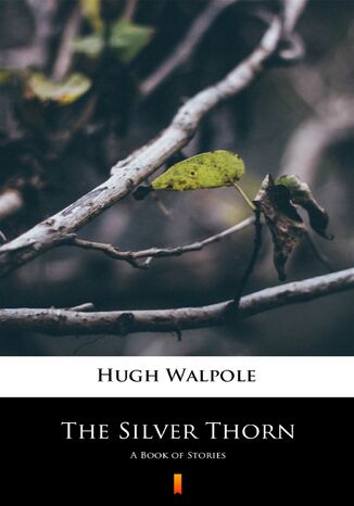 The Silver Thorn. A Book of Stories Hugh Walpole - okladka książki