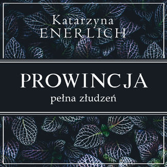 Prowincja pełna złudzeń Katarzyna Enerlich - okladka książki