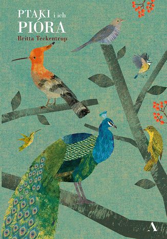 Ptaki i ich pióra Britta Teckentrup - okladka książki