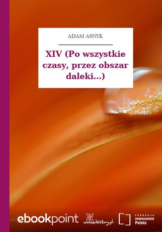 XIV (Po wszystkie czasy, przez obszar daleki...) Adam Asnyk - okladka książki