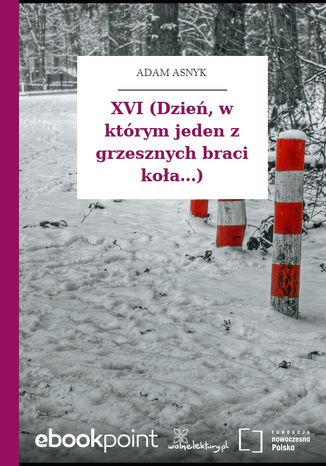 XVI (Dzień, w którym jeden z grzesznych braci koła...) Adam Asnyk - okladka książki