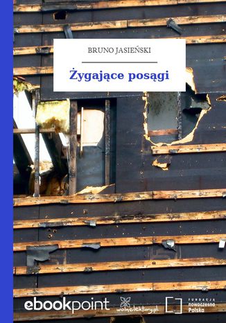 Żygające posągi Bruno Jasieński - okladka książki