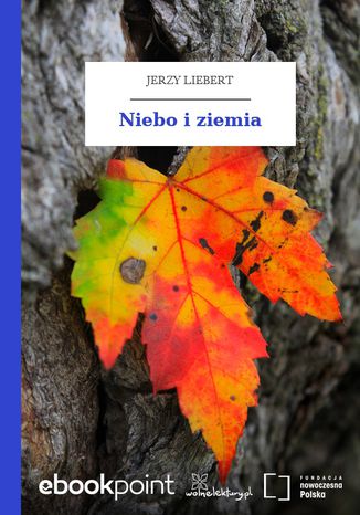 Niebo i ziemia Jerzy Liebert - okladka książki