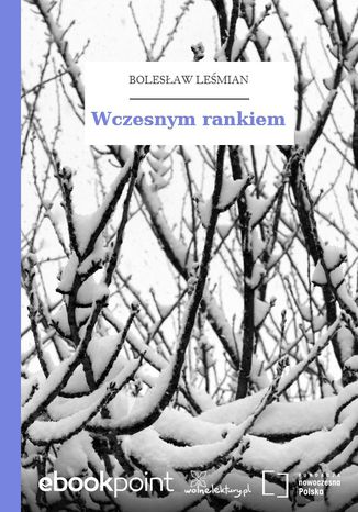 Wczesnym rankiem Bolesław Leśmian - okladka książki