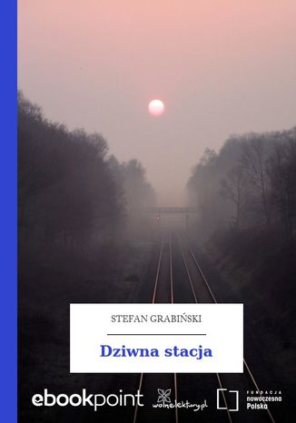 Dziwna stacja Stefan Grabiński - okladka książki