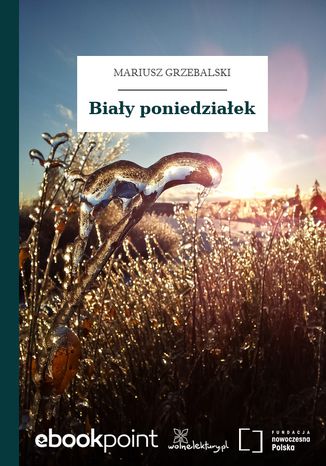 Biały poniedziałek Mariusz Grzebalski - okladka książki